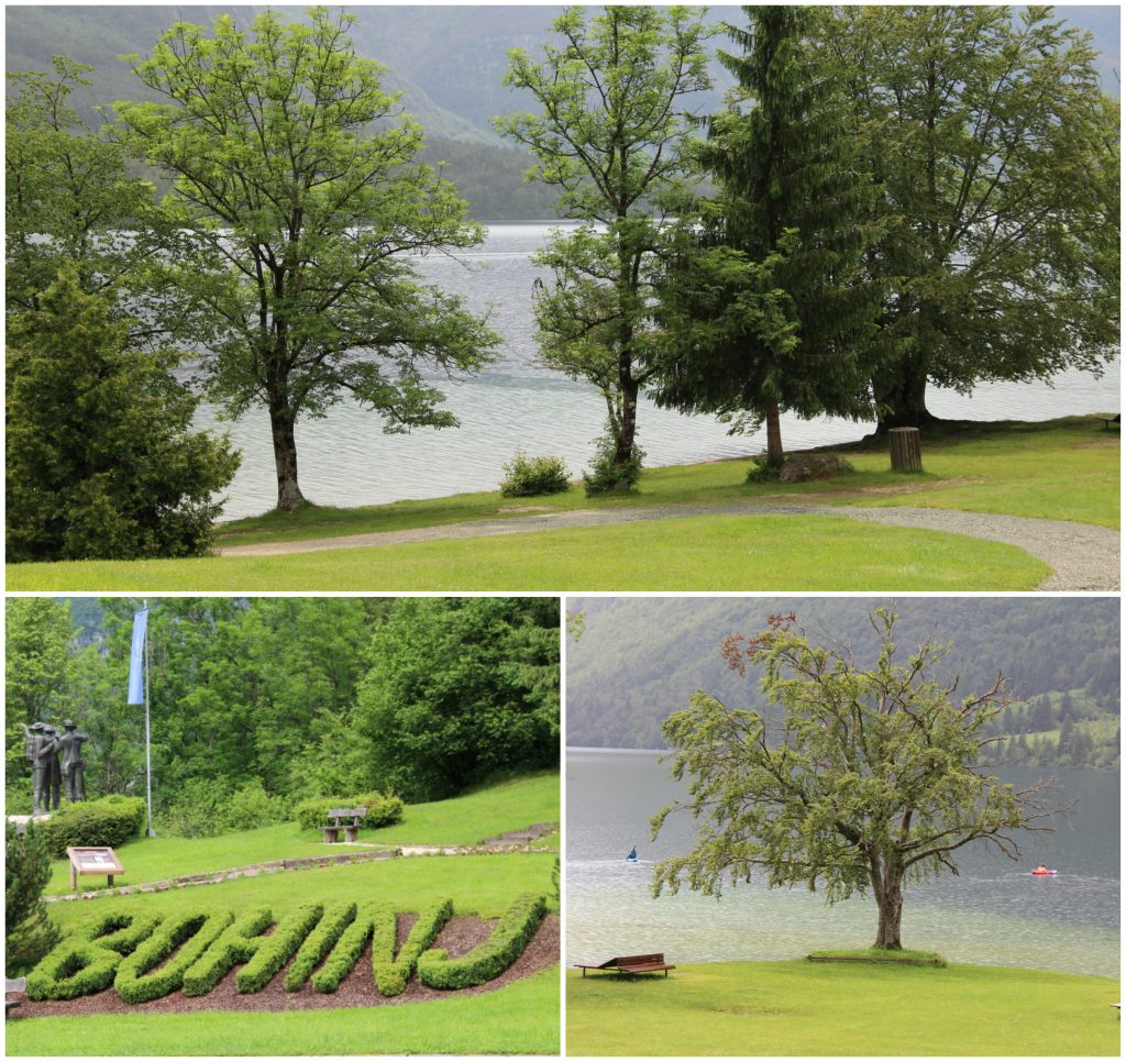 BeFunky Collagehfthfh