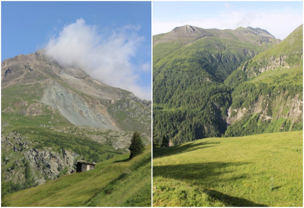 BeFunky Collagejurtzu