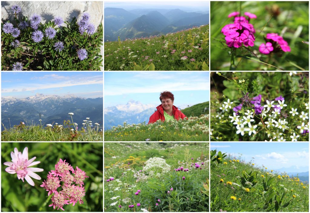 BeFunky Collageretwet